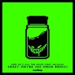 cover: Anjulie|Feed Me & Kill The Noise - Crazy Maybe