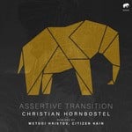 cover: Christian Hornbostel - Assertive Transition