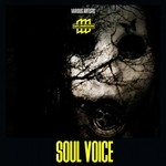 cover: Various - Soul Voice