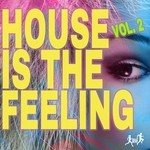 cover: Asely Frankin|Future 3000|Jason Rivas|Layla Mystic|Nu Disco Bitches|Organic Noise From Ibiza|Supersonic Lizards - House Is The Feeling Vol 2