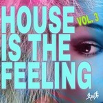 cover: Creeperfunk|Dan Traxmander|Elsa Del Mar|Fashion Vampires From Louisiana|Jason Rivas|Organic Noise From Ibiza|Terry De Jeff - House Is The Feeling Vol 3