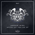 cover: Andrew Mina - Never Let You Go EP