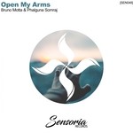 cover: Bruno Motta & Phalguna Somraj - Open My Arms