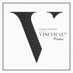 cover: James Warren|Various - Visceral 055