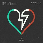 cover: Ami Carmine|Todd Terry - Love Is Gone