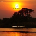 cover: Various - Afro Grooves 1