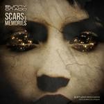 cover: Bunny On Acid - Scars And Memories