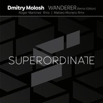 cover: Dmitry Molosh - Wanderer (Remix Edition)