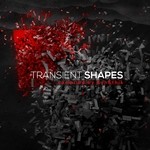 cover: Various - Transient Shapes