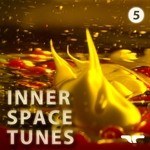 cover: Various - Inner Space Tunes 5