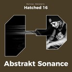 cover: Abstrakt Sonance - Hatched 16