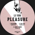 cover: Lu York - Pleasure