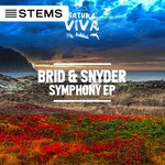 cover: Brid & Snyder - Symphony EP