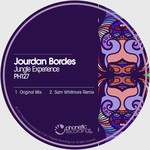 cover: Jourdan Bordes - Jungle Experience