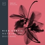 cover: Rich Curtis - Nothing To Declare