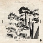 cover: Various - Mauerblumchen 002