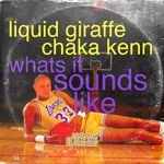 cover: Kenny Summit|Liquid Giraffe - What It Sounds Like