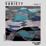 cover: Various - Voltaire Music present Variety Issue 17