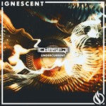 cover: Chaser - Undercurrent