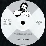 cover: The Deepshakerz - Diggin'Down