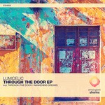 cover: Lumidelic - Through The Door / Awakening Dreams