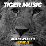 cover: Adam Walker - Pump It