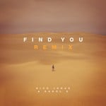 cover: Nick Jonas - Find You