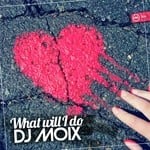 cover: Dj Moix - What Will I Do