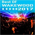 cover: Various - Best Of Wake Wood 2017