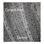 cover: Current Flow - Boss