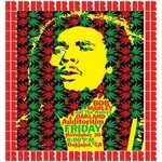 cover: Bob Marley|The Wailers - The Complete Show, Oakland Auditorium Ca Nov 30th 1979