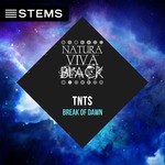 cover: Tnts - Break Of Dawn