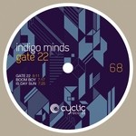 cover: Indigo Minds - Gate 22