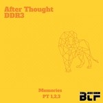 cover: Dj Tiny M - After Thought DDR3