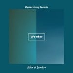 cover: Alan De Laniere - Wonder