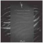 cover: A Thousand Details - Conundrum Of Life EP