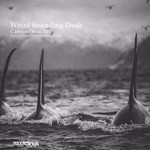 cover: Weird Sounding Dude - Canyon Orcas