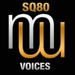 cover: Sq80 - Voices