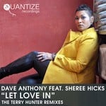 cover: Dave Anthony|Sheree Hicks - Let Love In