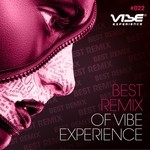 cover: Various - Best Remix Of Vibe Experience