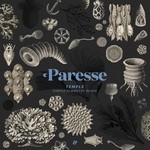 cover: Paresse|Simple Symmetry - Temple