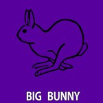 cover: 21 Room|Big Bunny|Bunny House|Rousing House - Tropic Bunny