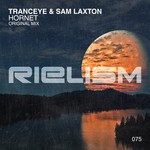 cover: Tranceye & Sam Laxton - Hornet