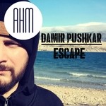 cover: Damir Pushkar - Escape