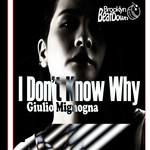 cover: Giulio Mignogna - I Don't Know Why