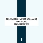 cover: Mike Williams - Feel Good (Blanee Remix)