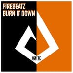 cover: Firebeatz - Burn It Down