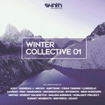 cover: Various - Winter Collective 01