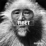 cover: Carlos Mendes & Saulo Pisa - Tibet