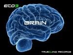 cover: Eco3 - Brain